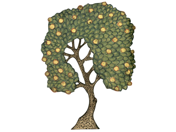 Quince Tree, Qazwīnī, Wonders, Bibliothèque municipale, Bordeaux, MS 1130